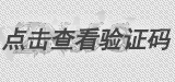 验证码